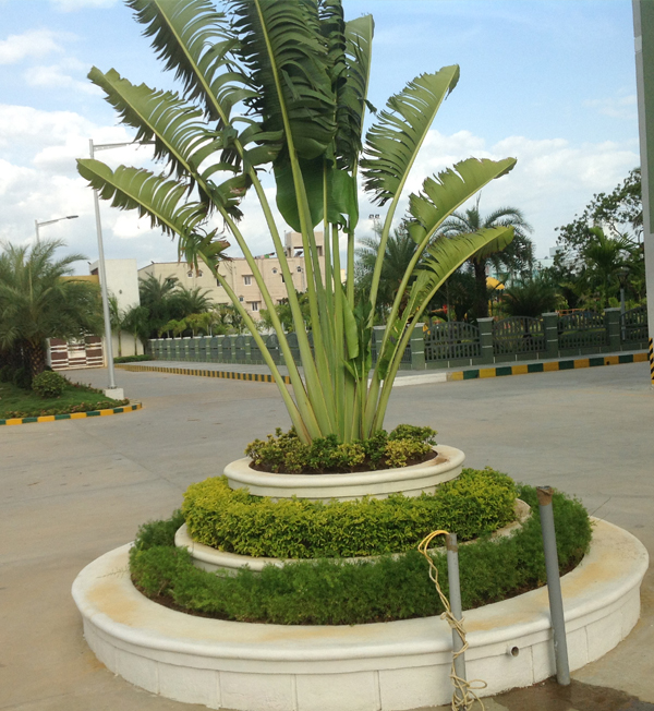 chennai landscape, chennai landscaping, chennai landscape designers, chennai garden maintenance, chennai garden management,